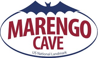 Marengo Cave-Color-Bat